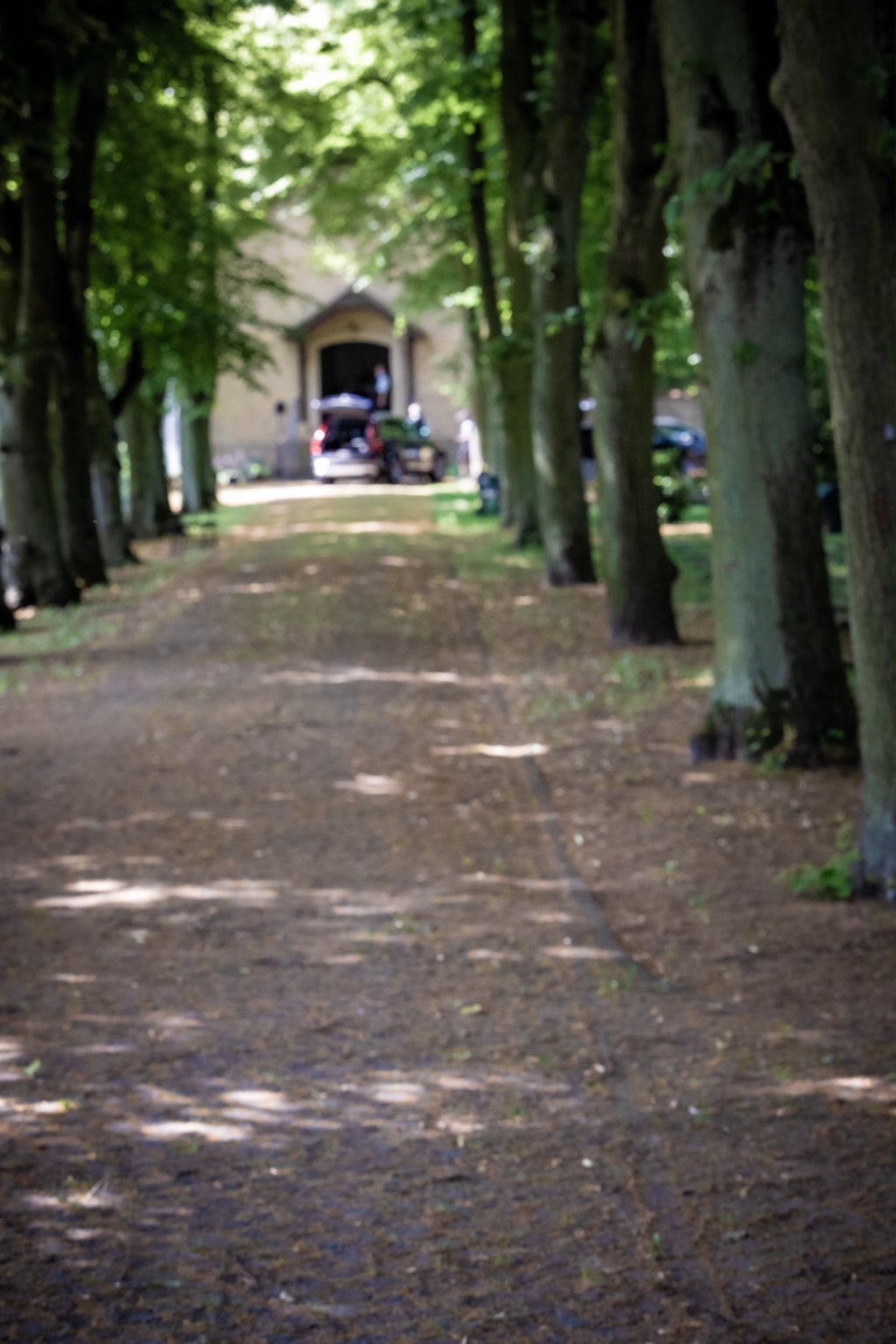 Baumallee auf dem Weg zu einer Friedhofskapelle